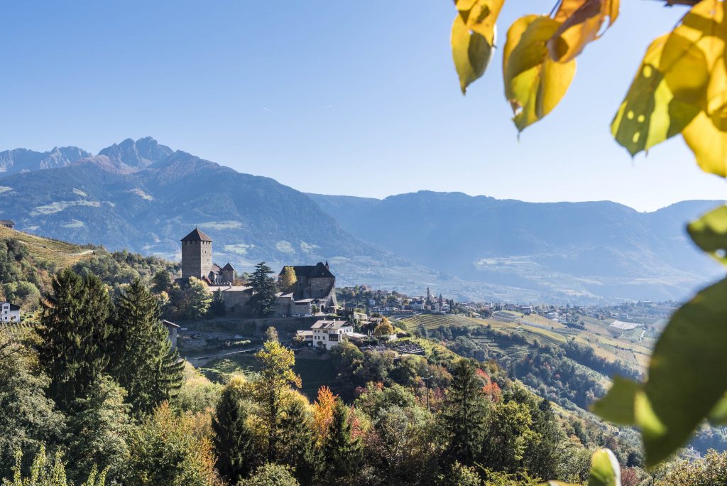 ©Niederkofler Hannes