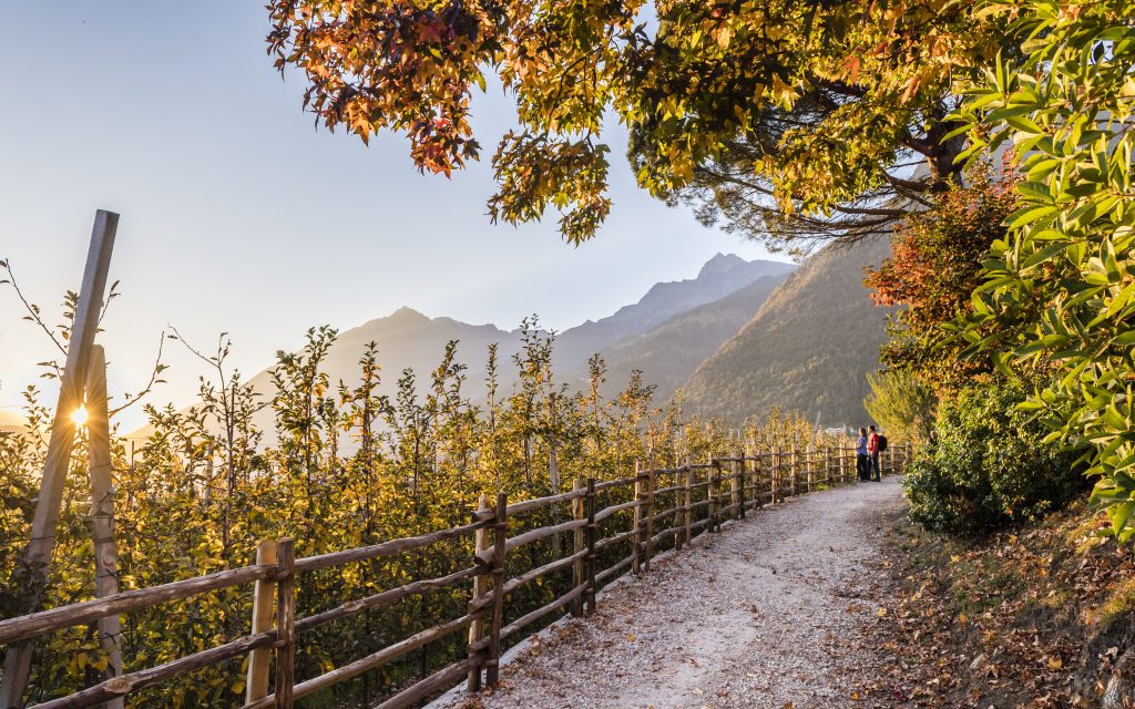 ©Niederkofler Hannes